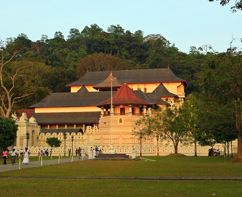 Discovery Tours